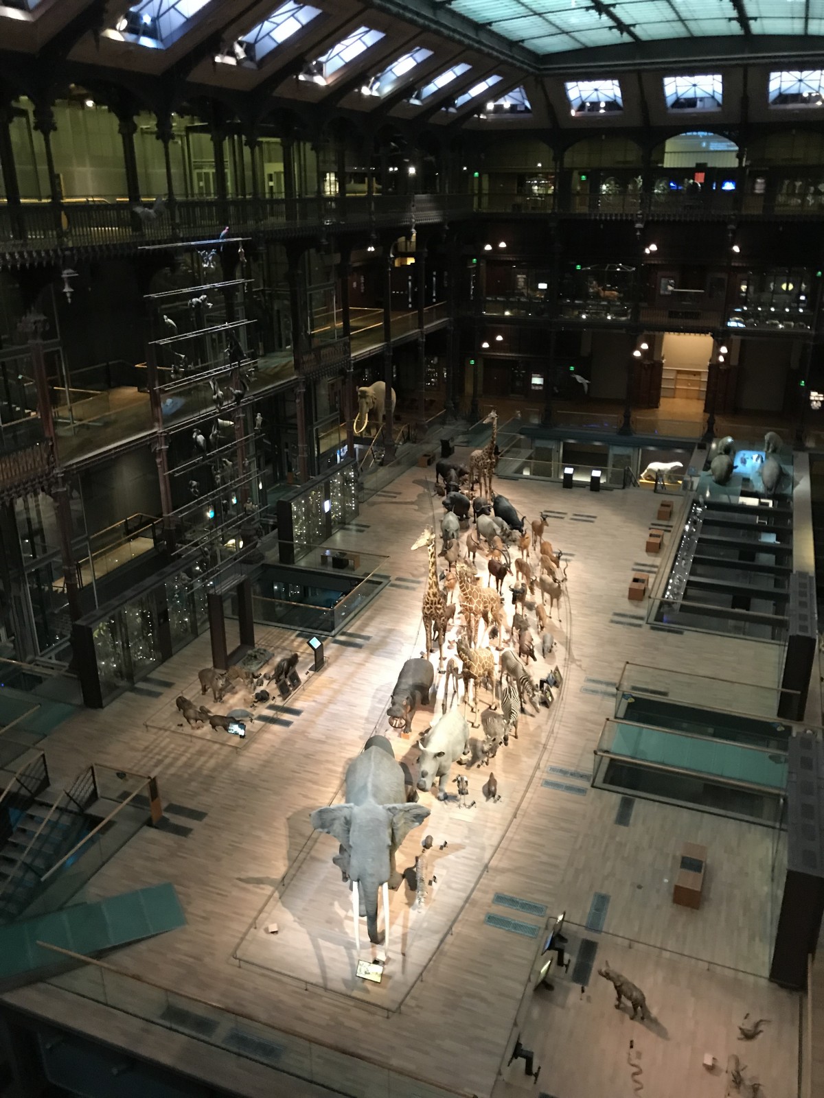 Grande galerie de l'évolution